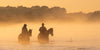 A couple of horses with a horseman riding on them, walking together with the feet of the horses underwater, and a smoky fog effect in the scene, Balnarring Horses 