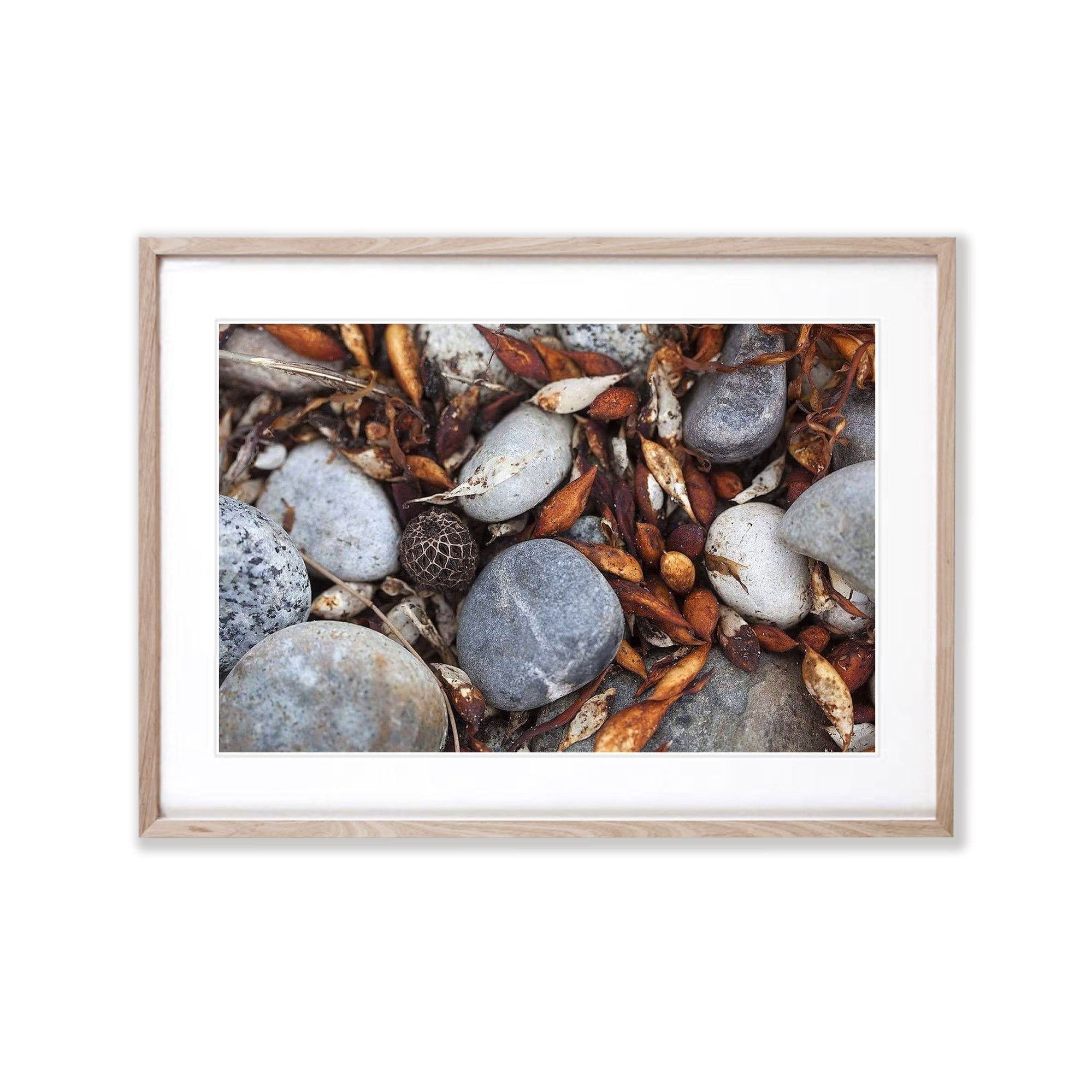 Beach Debris Freycinet, Tasmania