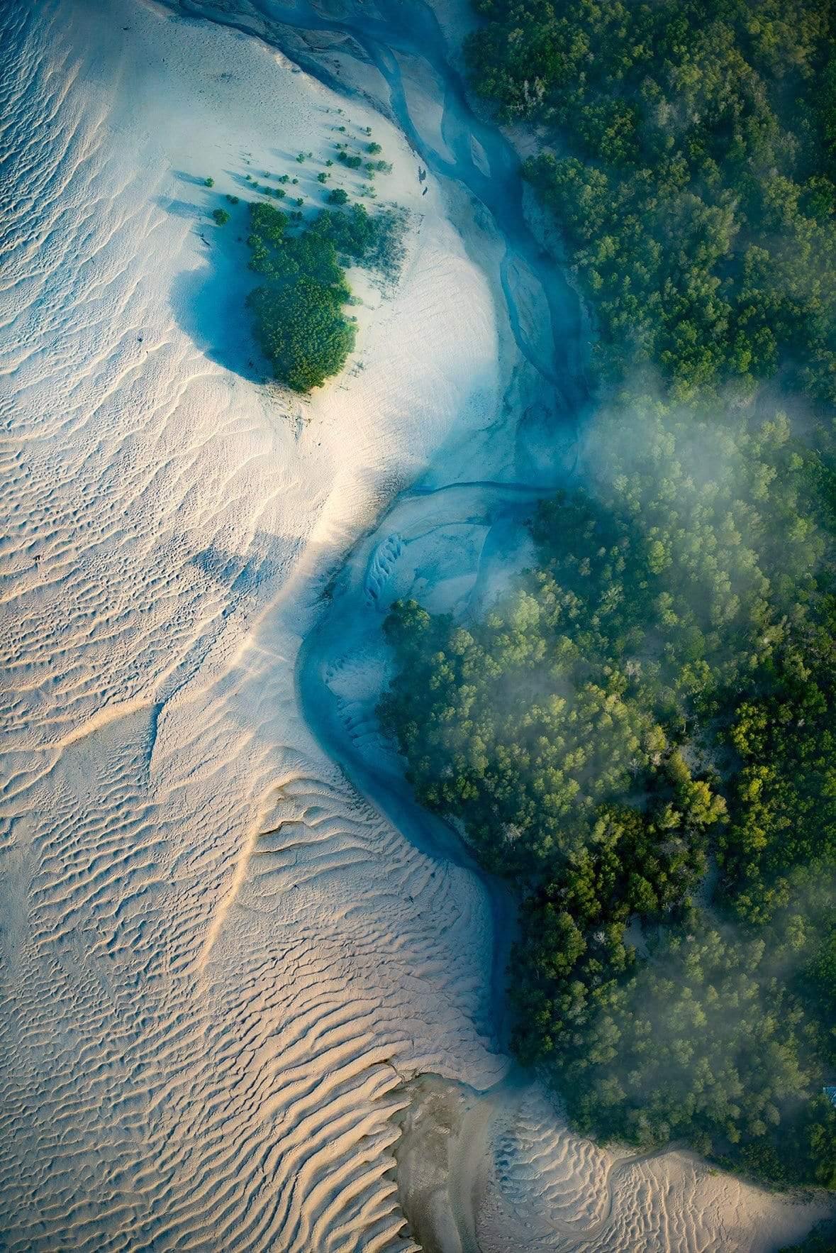 An aerial view of a desert-like area connecting with a dense greenery area vertically, Beach Mist