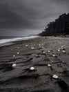 A dark view of a greyish seashore with wet sand and some white stones are placed systematically in lines, Beach pebbles - West Coast New Zealand 
