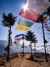 A series of large and small flags with some religious lines written on them are aligned in rounded lines with some trees standing tall on both hands side, Bhutan Pray Flags
