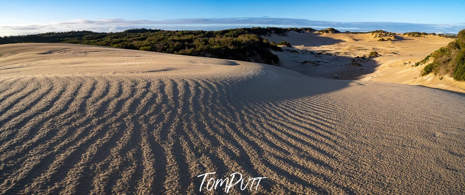 Big Drift dunes, Wilson's Promontory