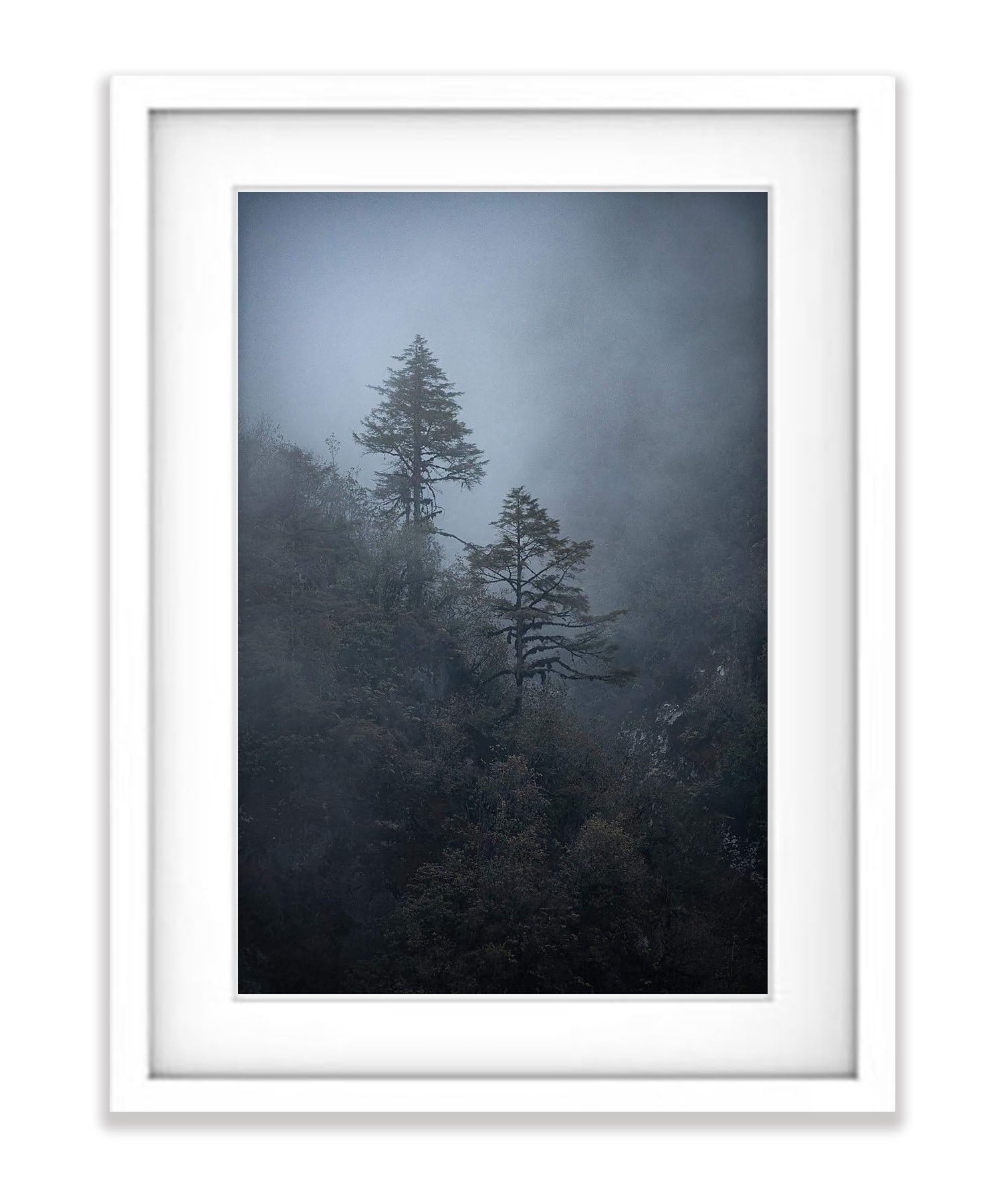 Black Forest #3, Bhutan