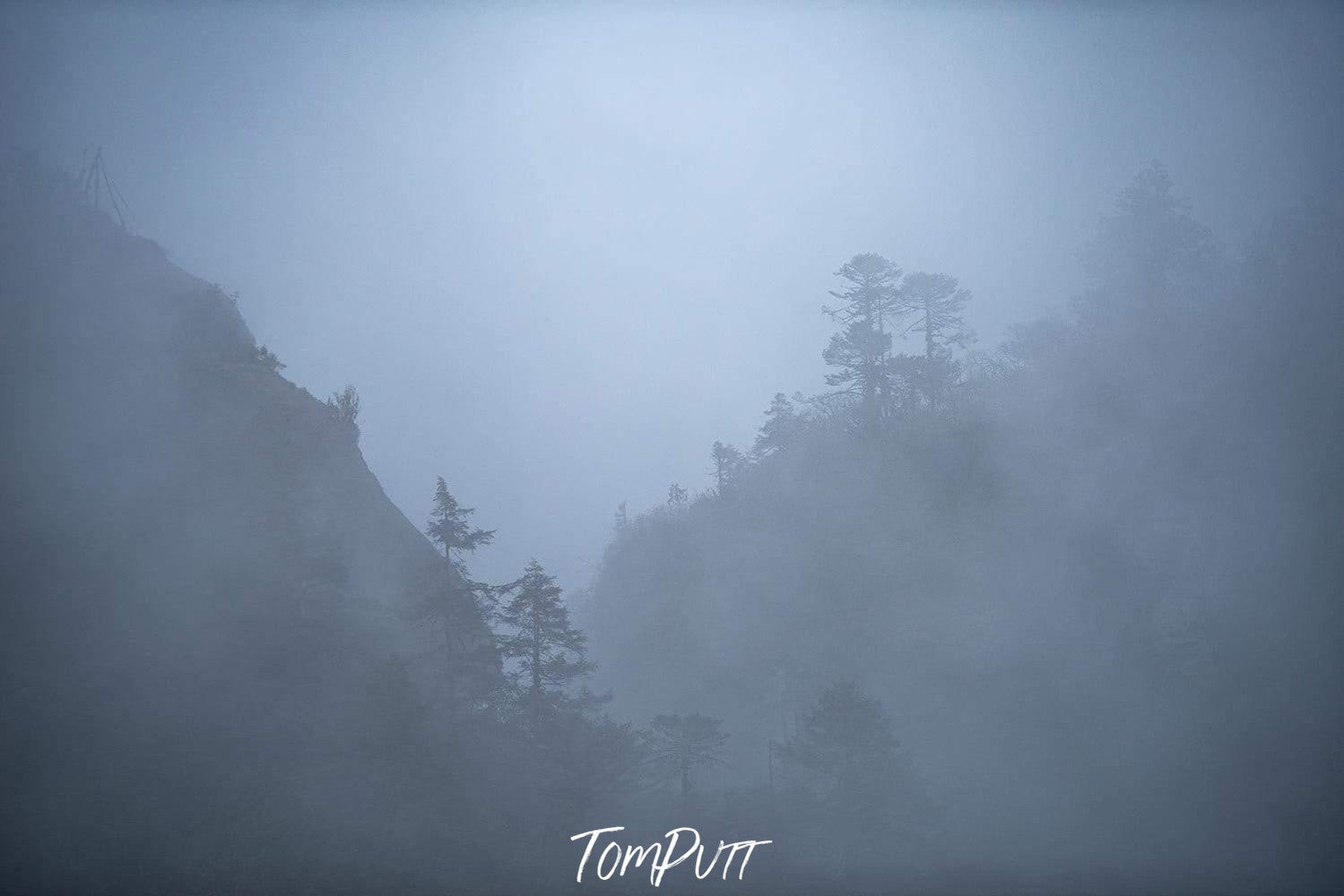 A foggy view of the village with giant mountains wall covered with the darkness and some trees in the scenery, Black Forest, Bhutan