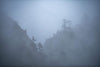 A foggy view of the village with giant mountains wall covered with the darkness and some trees in the scenery, Black Forest, Bhutan