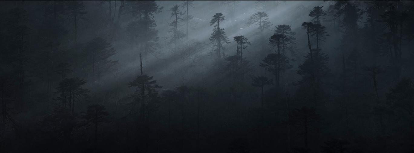 A landscape view of the dark jungle with some trees standing tall and an effect of the moon light coming inside, Black Forest Panorama Bhutan Art