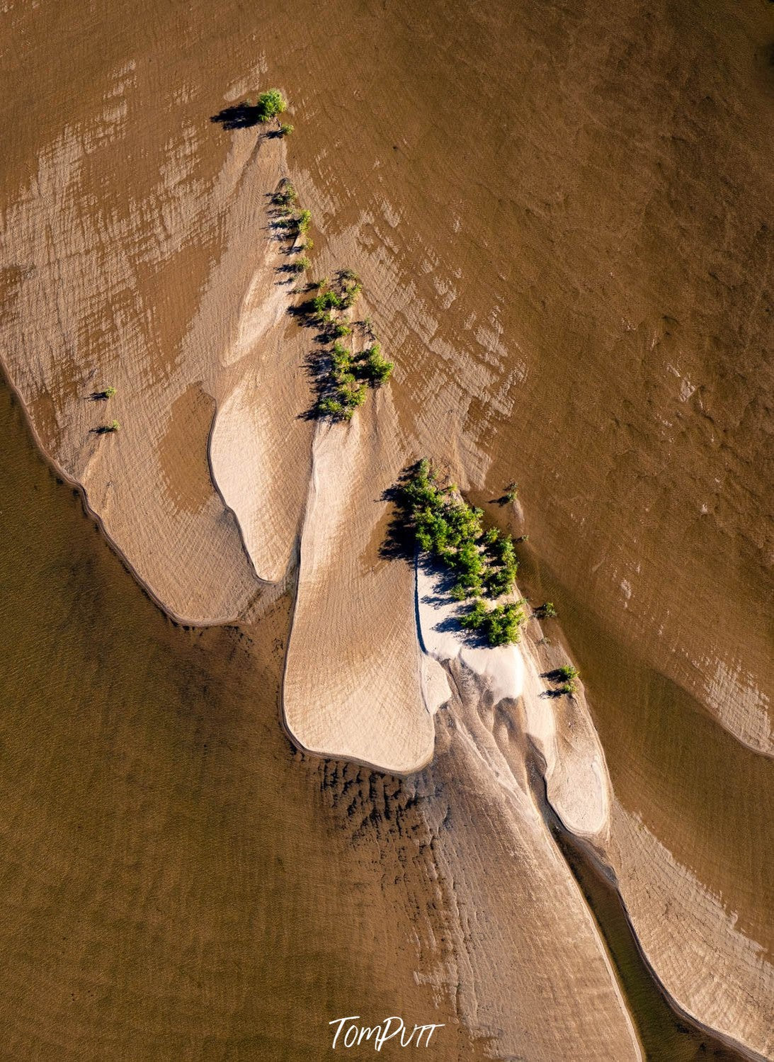 An aerial view of a desert-like land with a flow of clean water and some random rose-like shape forming on the land of the shiny mustard color, Bow River - The Kimberley WA 