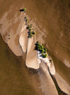 An aerial view of a desert-like land with a flow of clean water and some random rose-like shape forming on the land of the shiny mustard color, Bow River - The Kimberley WA 