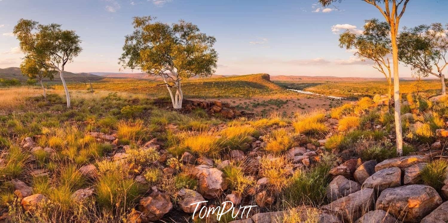 A wide-field area with some fresh trees and greenish grass and bushes, some stones covered with water and some exposed, Branco's Lookout - El Questro, The Kimberley