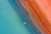 An aerial view of a mars like-land connecting with a clear blue surface with a blurred combination in between, a group of countless birds sitting over the land, and a white bird is flying high over the scene, Broome #26