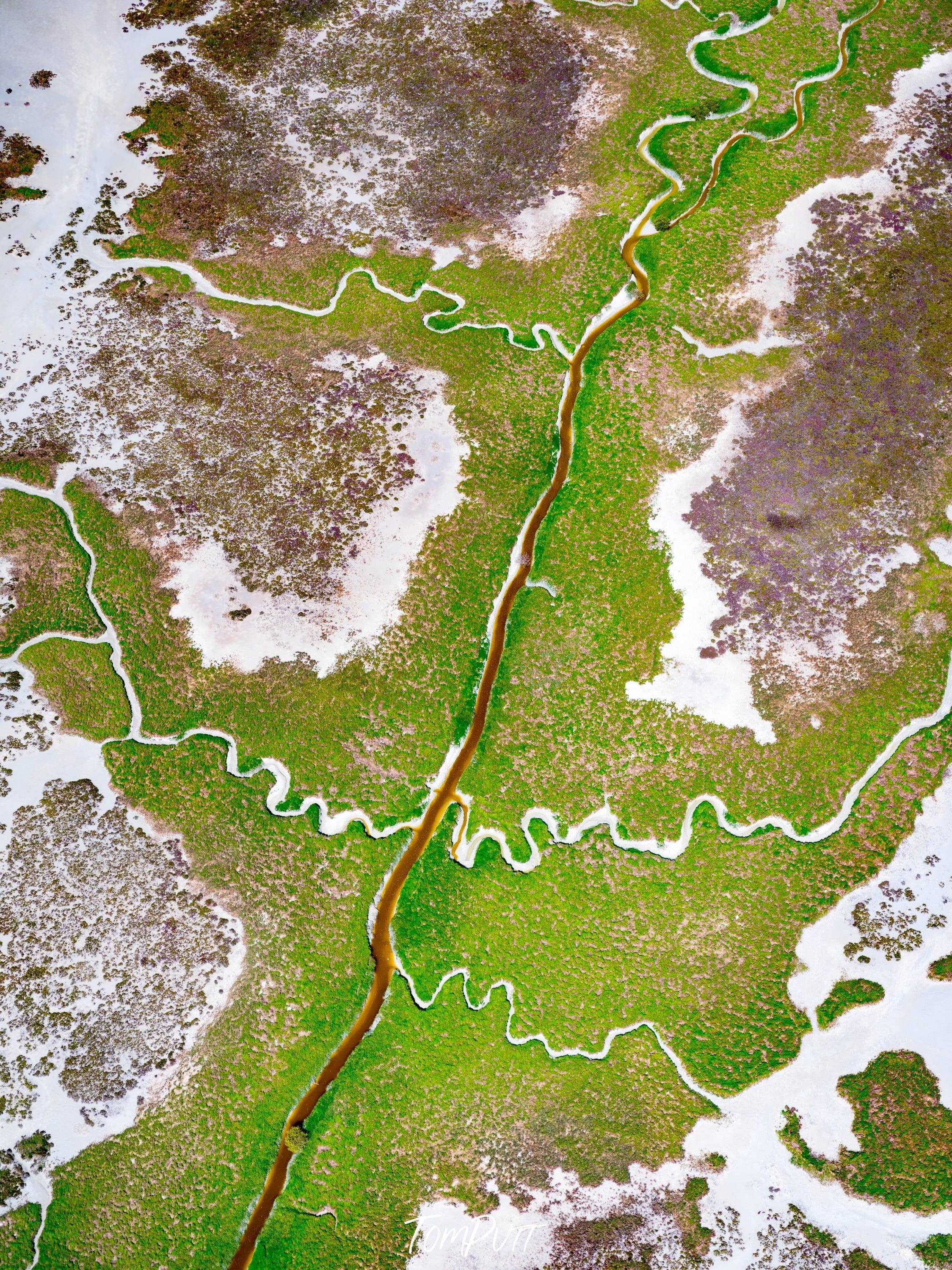 A large greenfield view with a lot of grounded grass and bushes, and some think curvy lines with white and brown color fillings, and some flat stones texture in some areas, Broome No.31