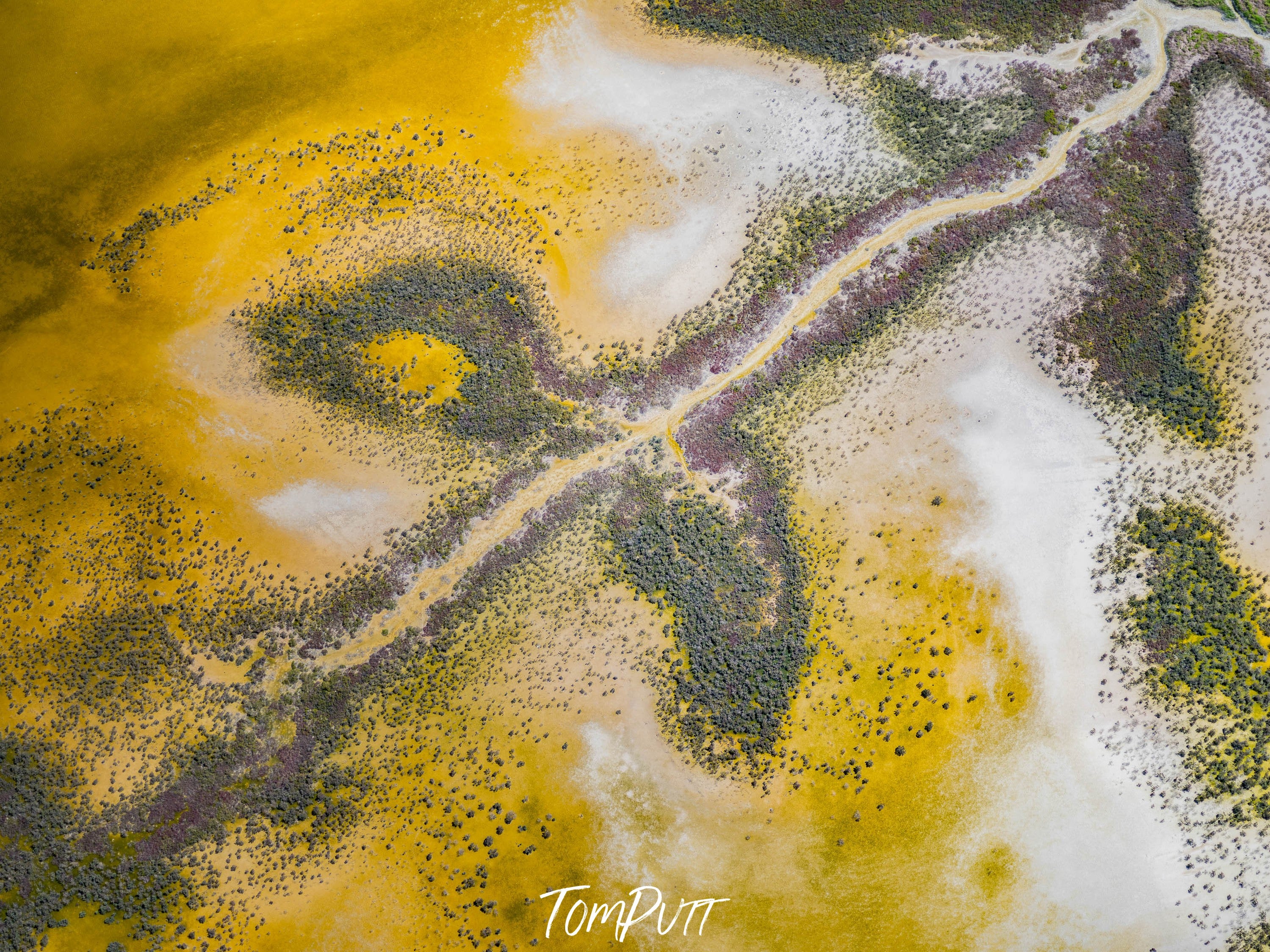 A large field area of yellow color with a lot of grounded grass and bushes, and a pattern of large green color leaf texture in the center, Broome No.32