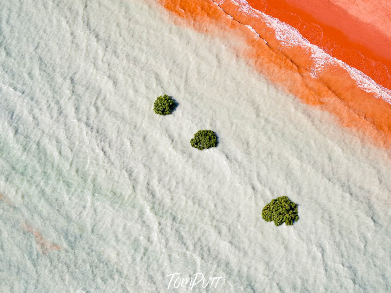 A white thick desert with three small dense trees, connecting with an orange-colored land area with some small waves on it, Broome No.37 