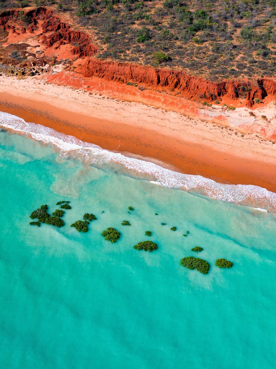 Aerial view of a seashore with orange-colored mountain wall with greenery over it, Broome #38