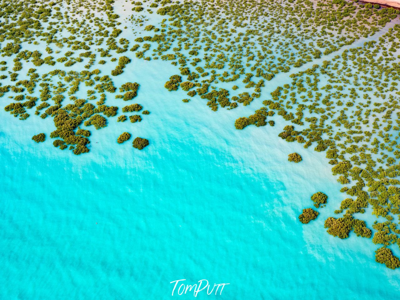 Aerial view of the sea with a lot of small trees on the water, Broome No.39