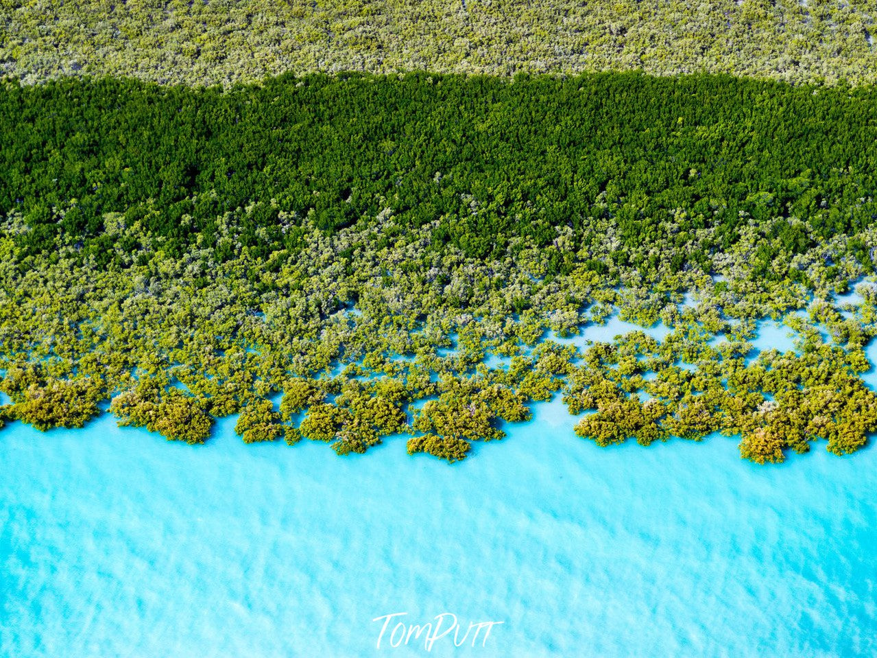 Aerial view of the sea corner covered with a lot of small trees, Broome No.40