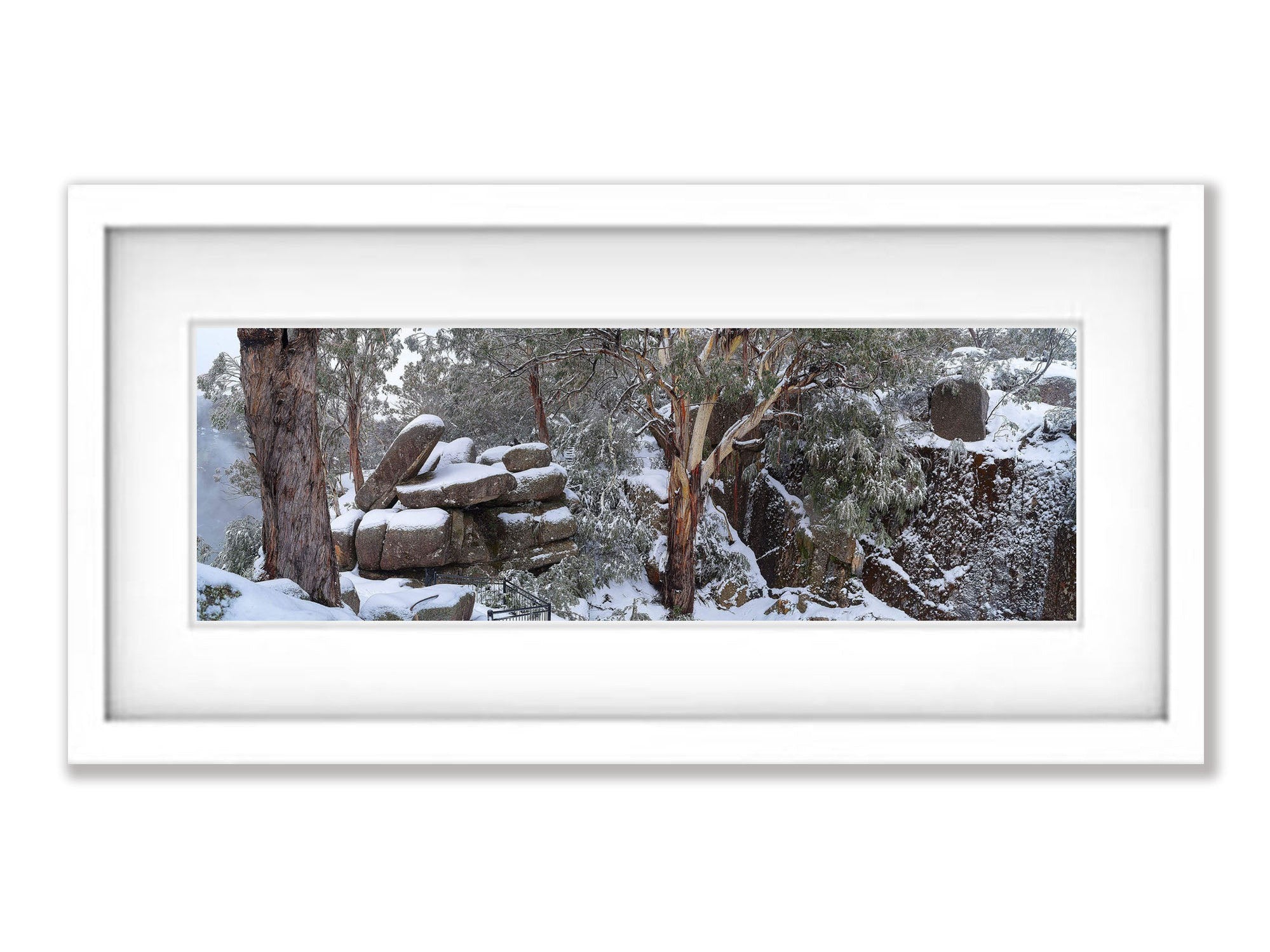 Buffalo Snow - Victorian High Country