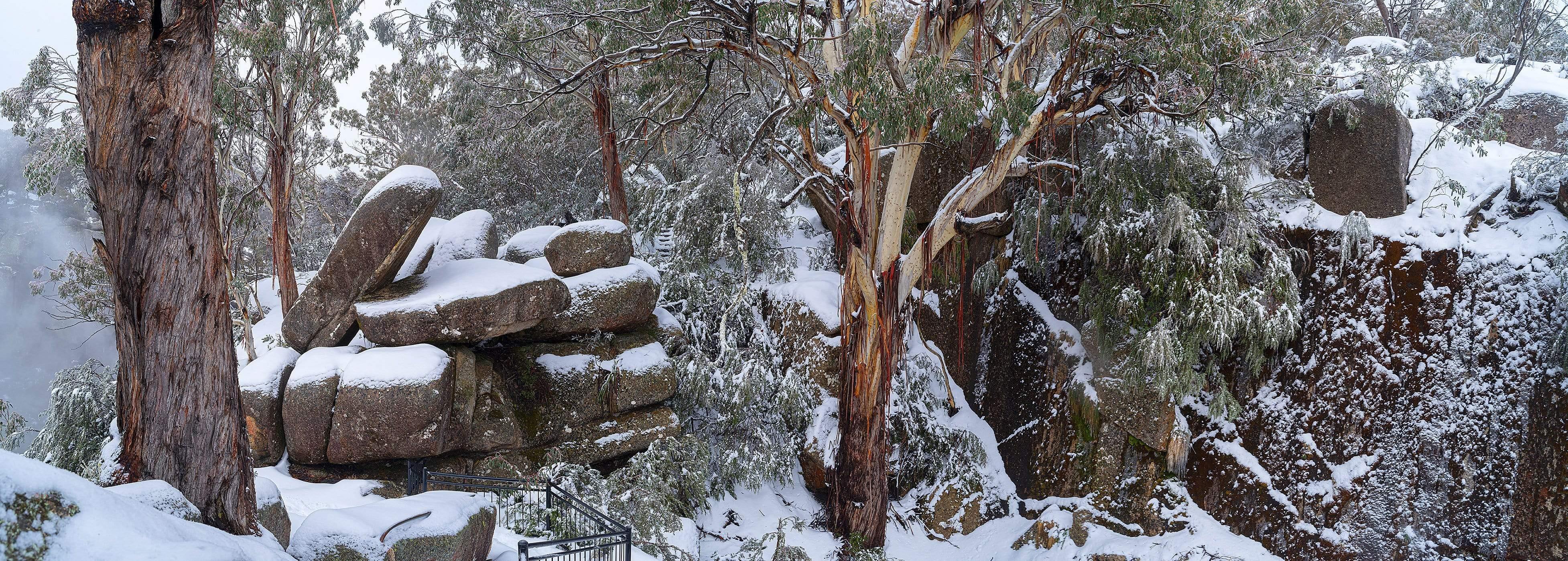 A Hill area with some trees and stones covered with fresh snow, Buffalo Snow - Victorian High Country