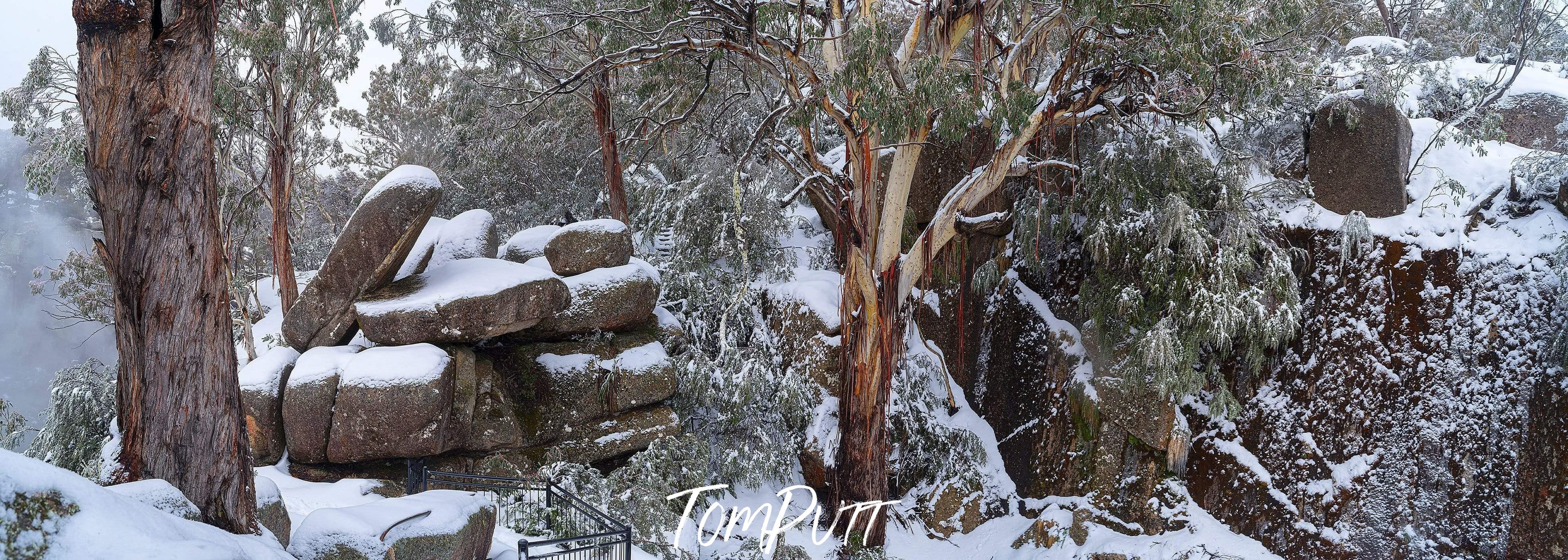 A Hill area with some trees and stones covered with fresh snow, Buffalo Snow - Victorian High Country