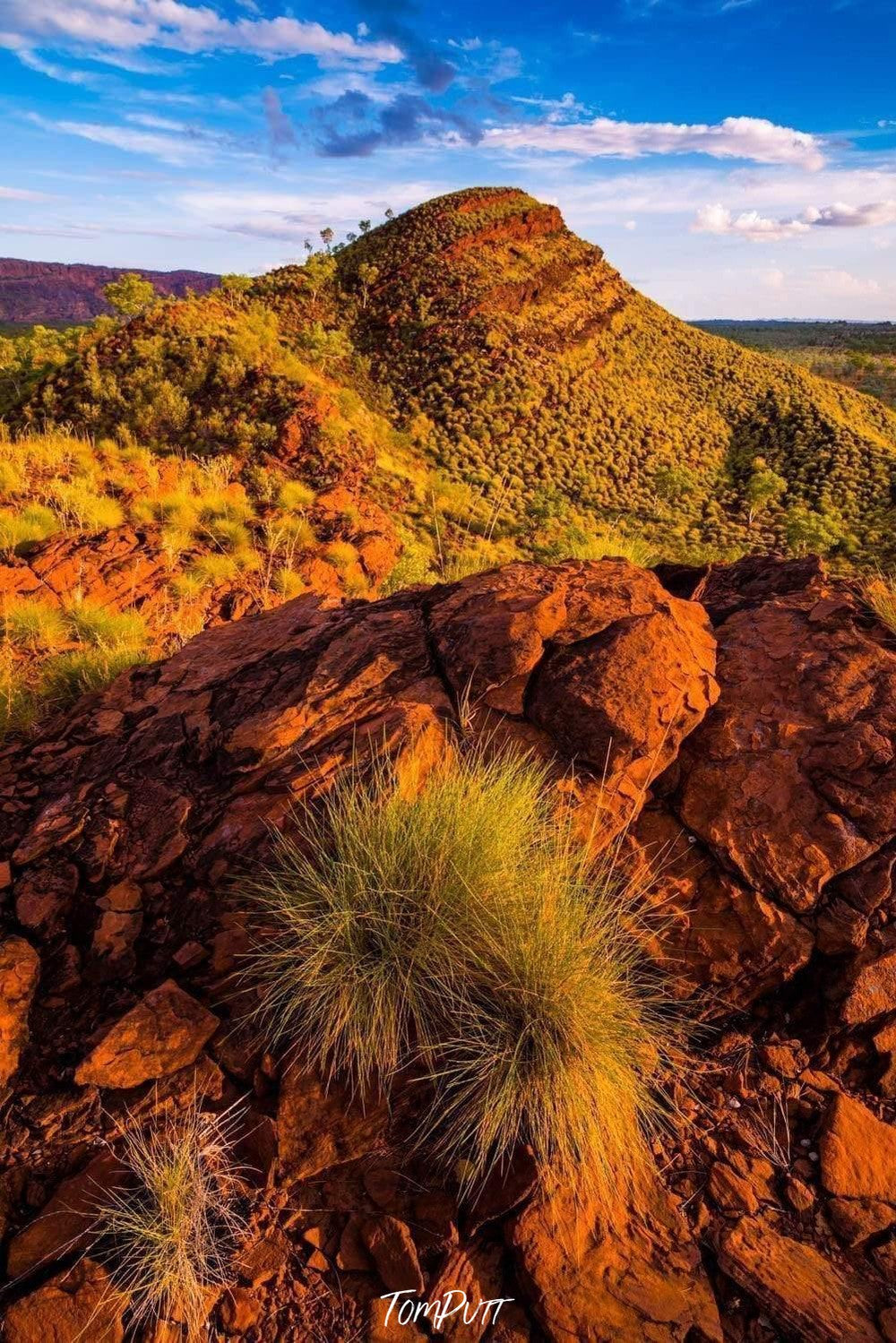 A portrait view of a group of stones with some bushes, and a big mound in the background, fresh green grass in the entire picture, with a clear blue sky in the far background, Bungles Range - Purnululu Bungle Bungles