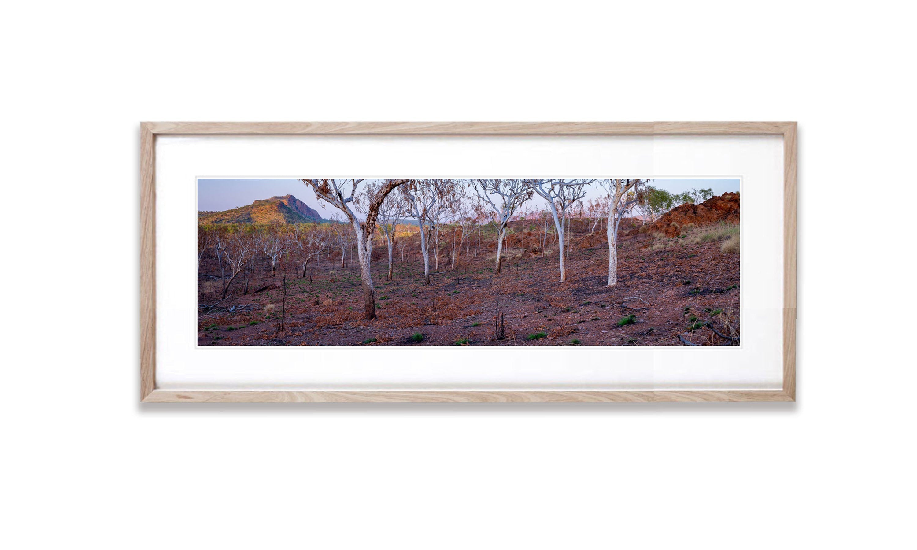 Burnt Forest, Keep River NP