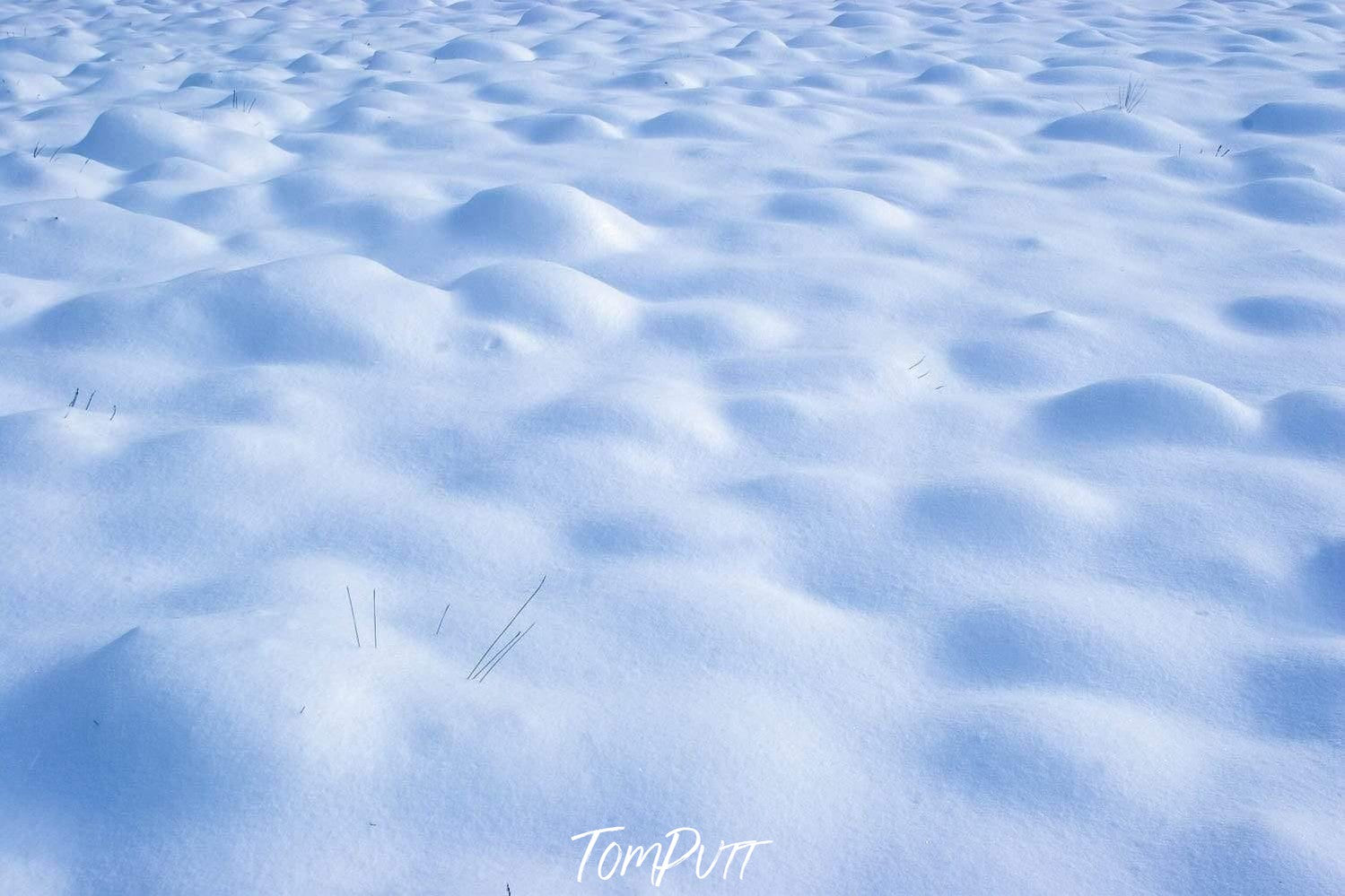 A surface of beautiful bubbles formed by the snow and creating a sky blue shade, Buttongrass Snow - Cradle Mountain TAS