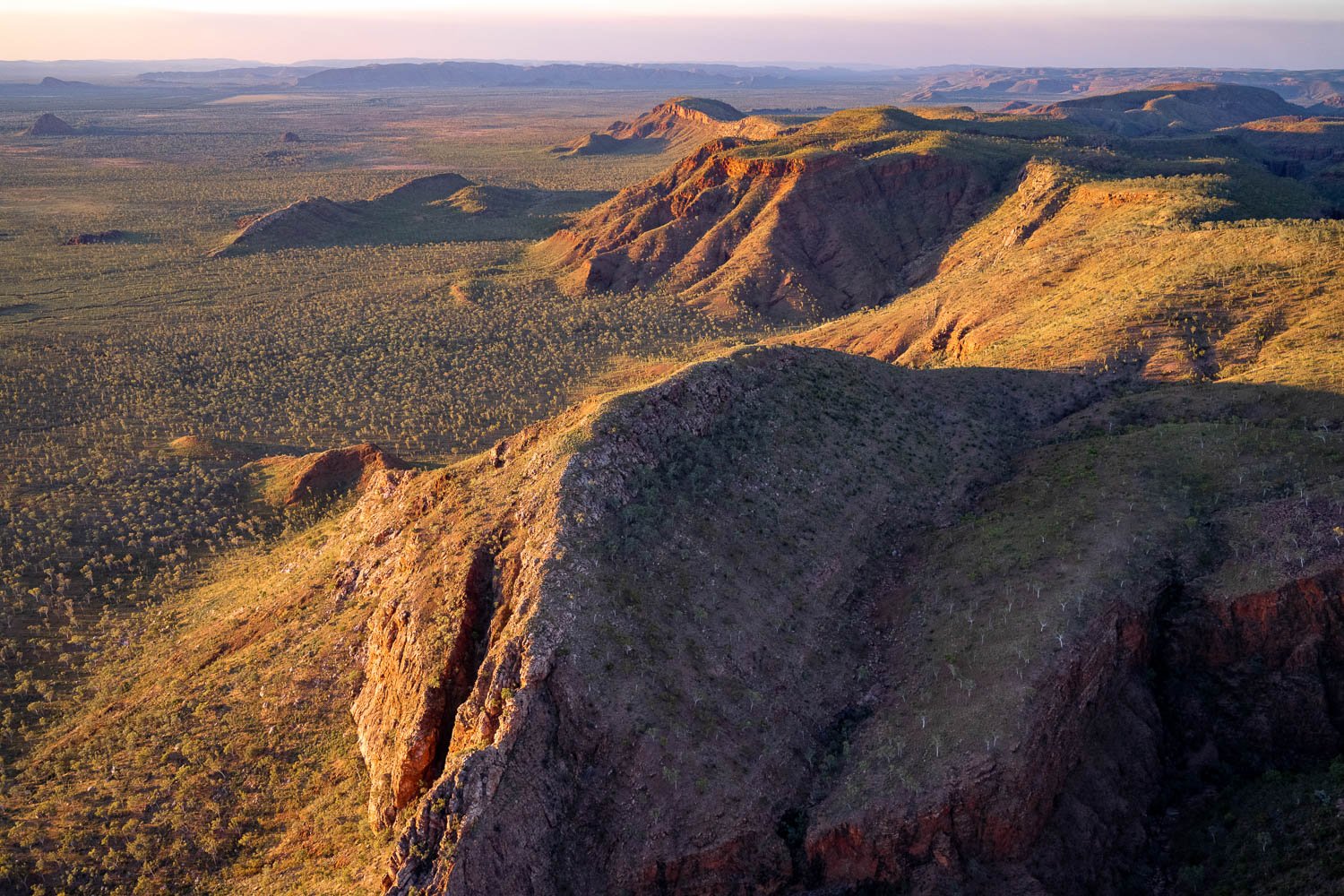 A long wall of giant grassy mountains, and a grassy field area below them, sunlight hitting on the entire scene, CARR BOYD RANGES, THE KIMBERLEY
