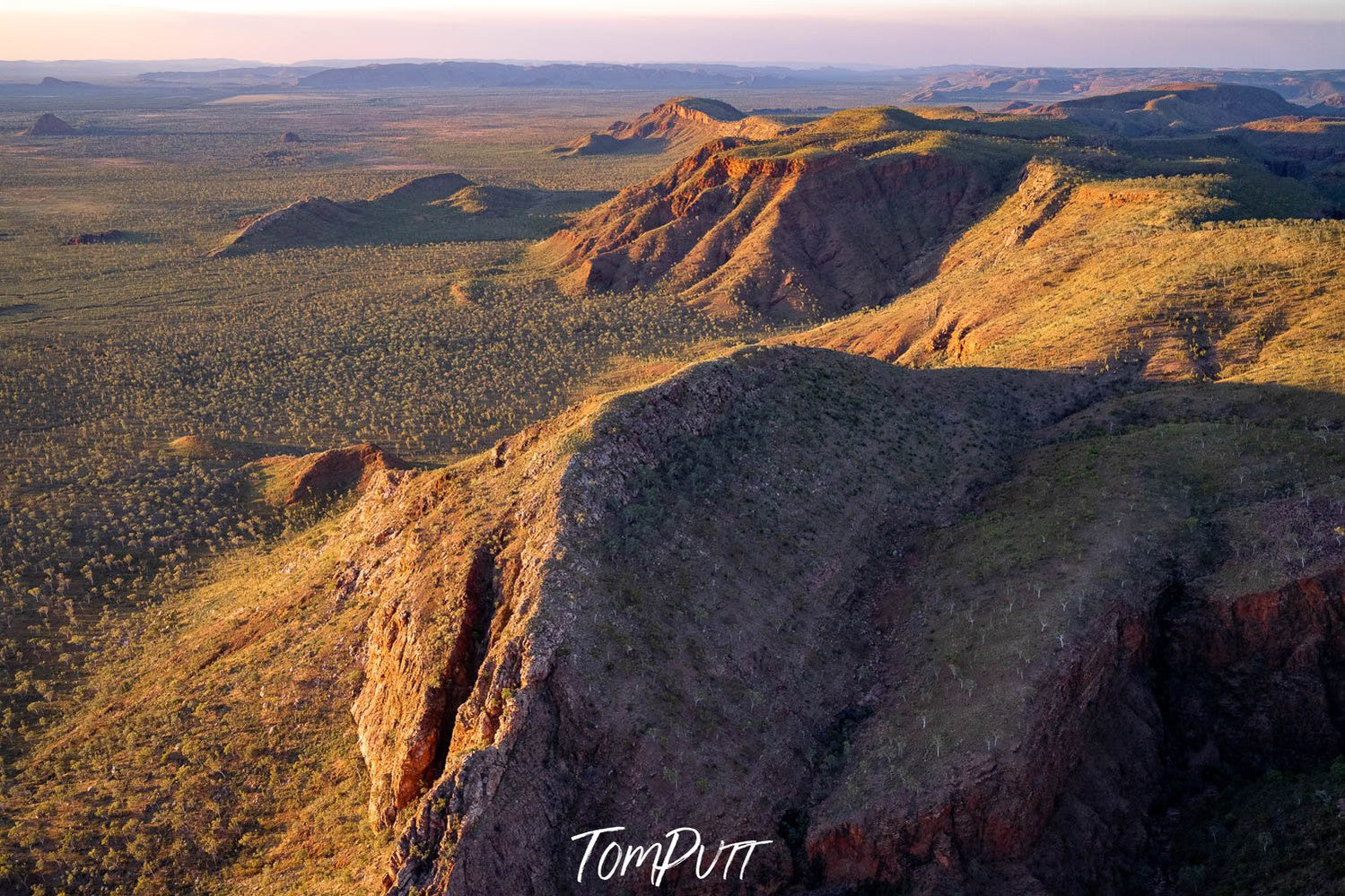 A long wall of giant grassy mountains, and a grassy field area below them, sunlight hitting on the entire scene, CARR BOYD RANGES, THE KIMBERLEY