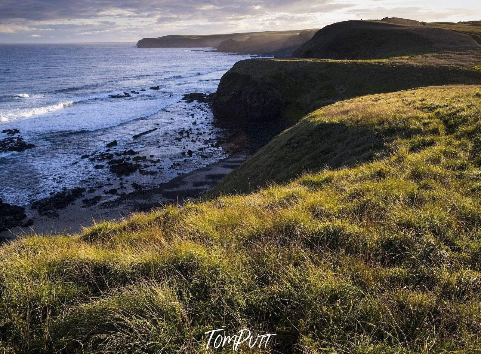 A grassy mound with beautiful bushes above a beautiful seashore, with a long mountain wall in the background, Cairns Bay - Mornington Peninsula