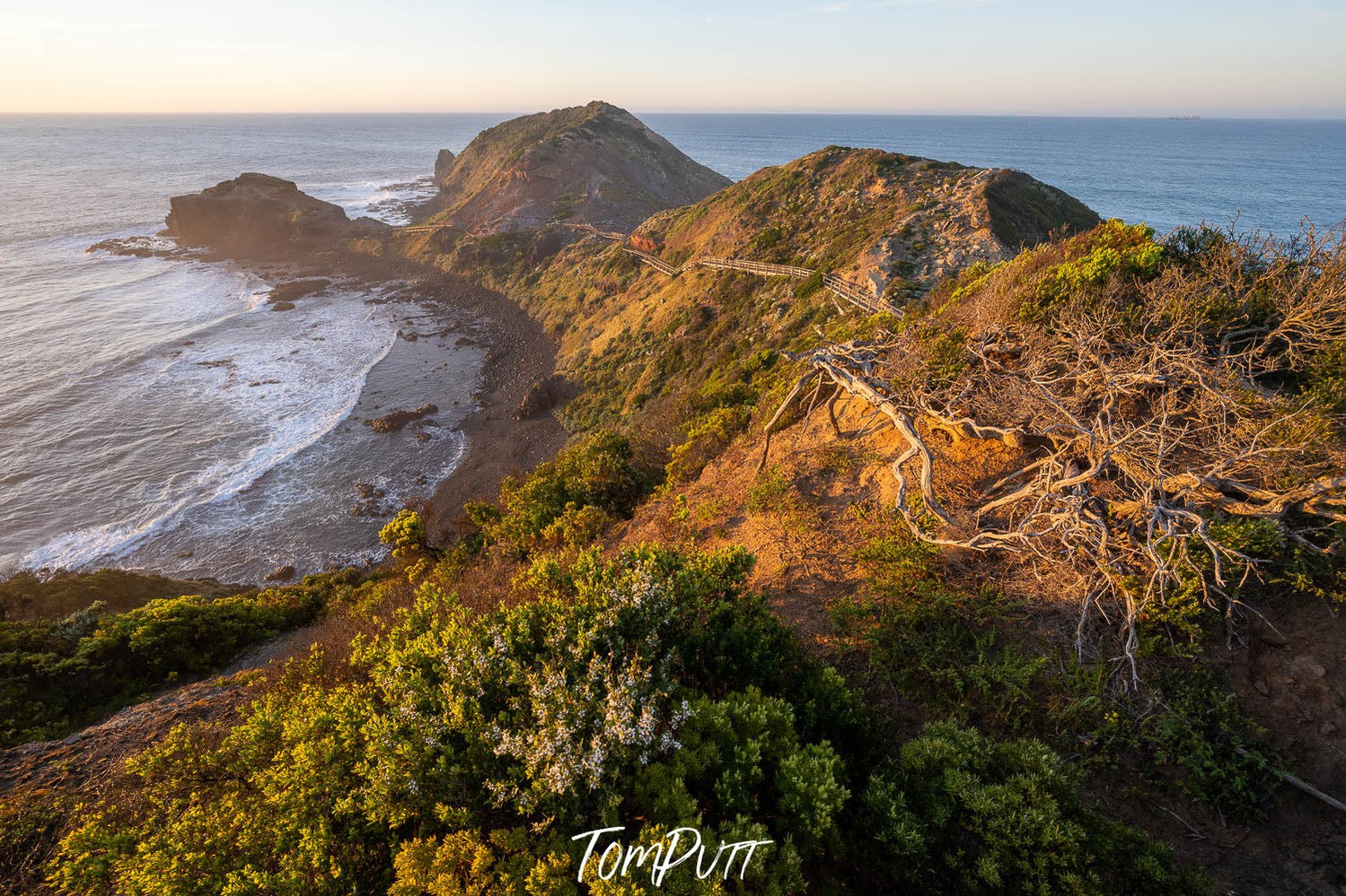 Cape Schanck Sunrise, Mornington Peninsula