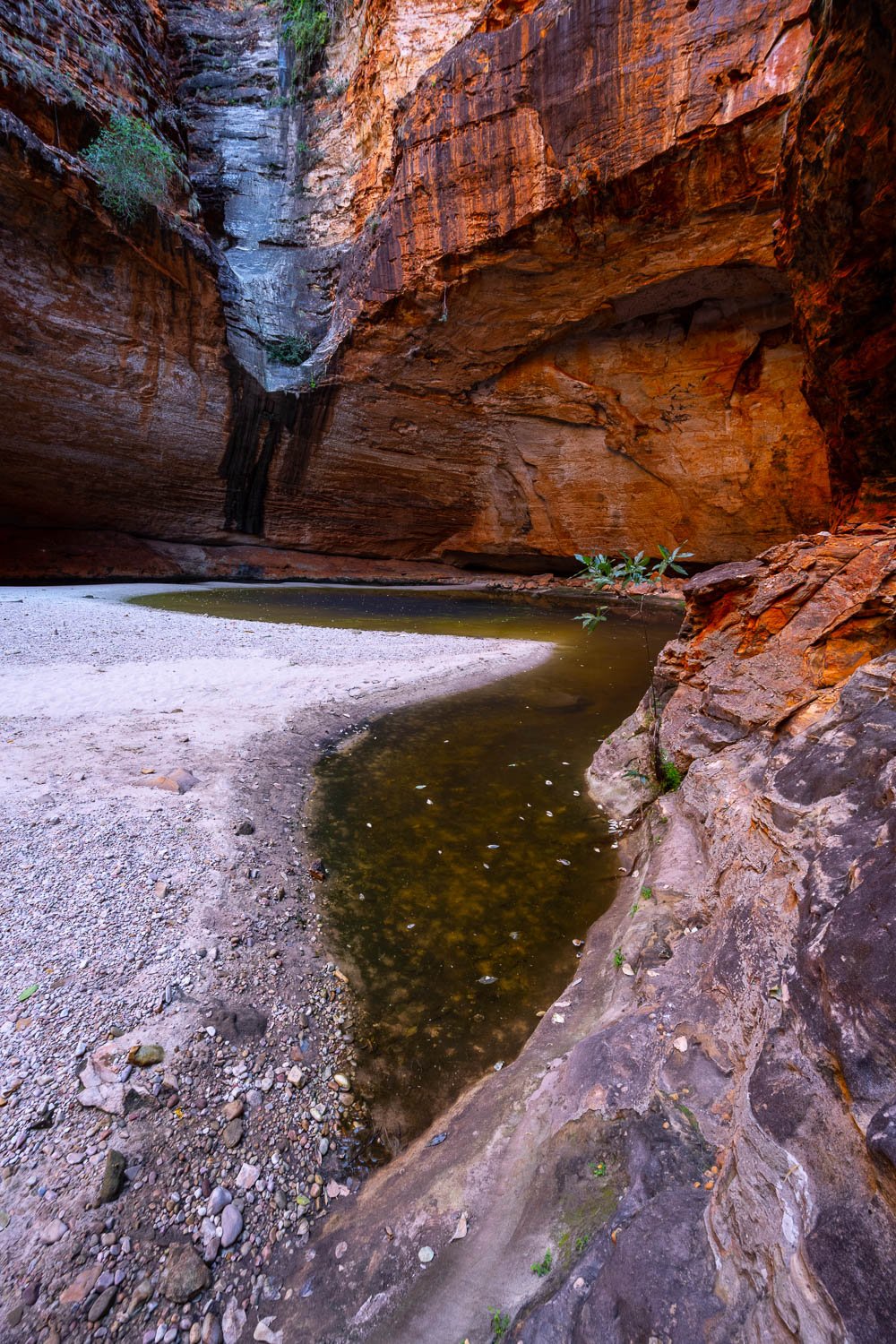 A rocky flat surface with some water on the corner, and a couple of giant mountain walls standing together in the near background, Cathedral Gorge, Purnululu, The Kimberley