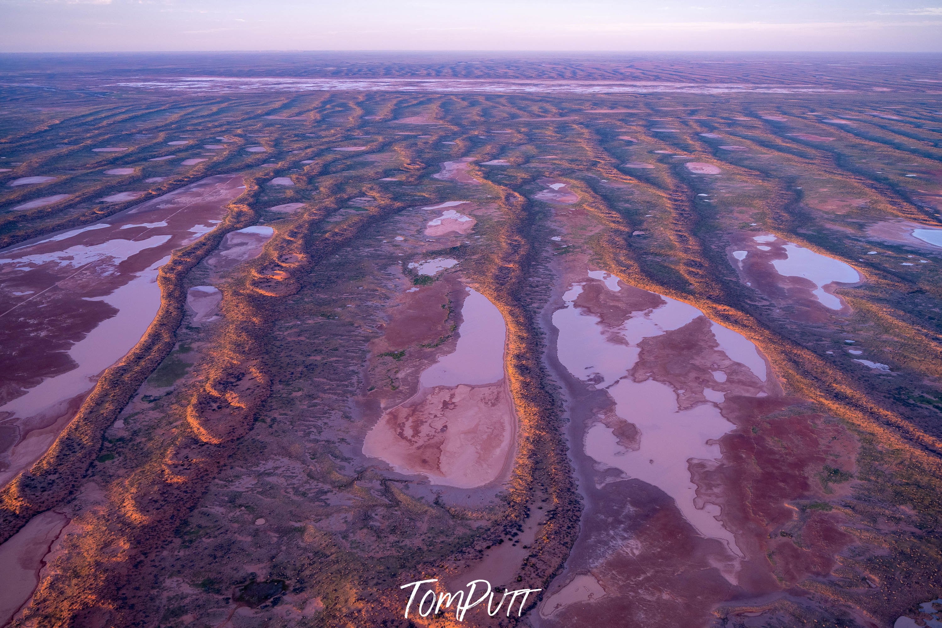 Central Australian Desert after rain