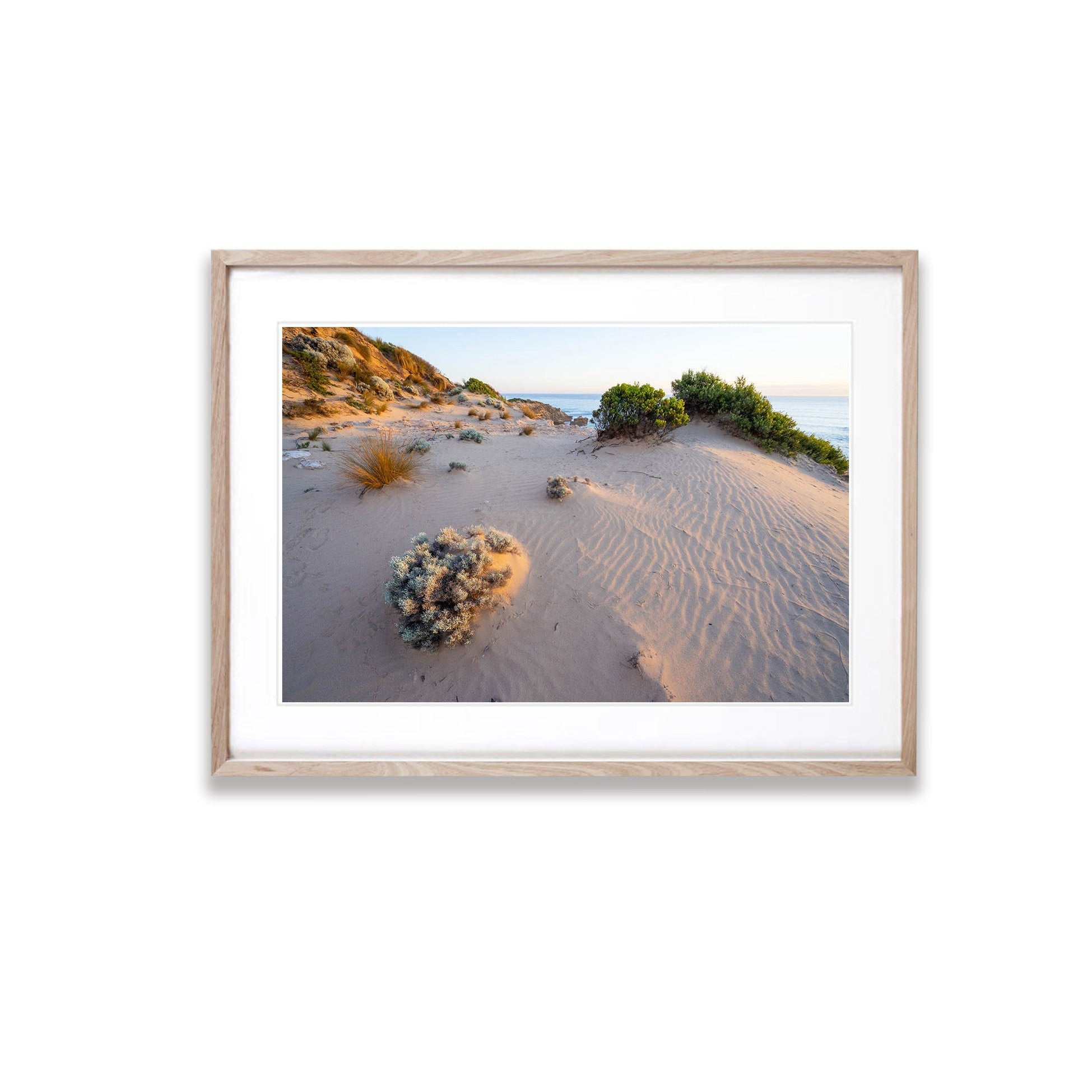 Coastal Dunescape, Sorrento