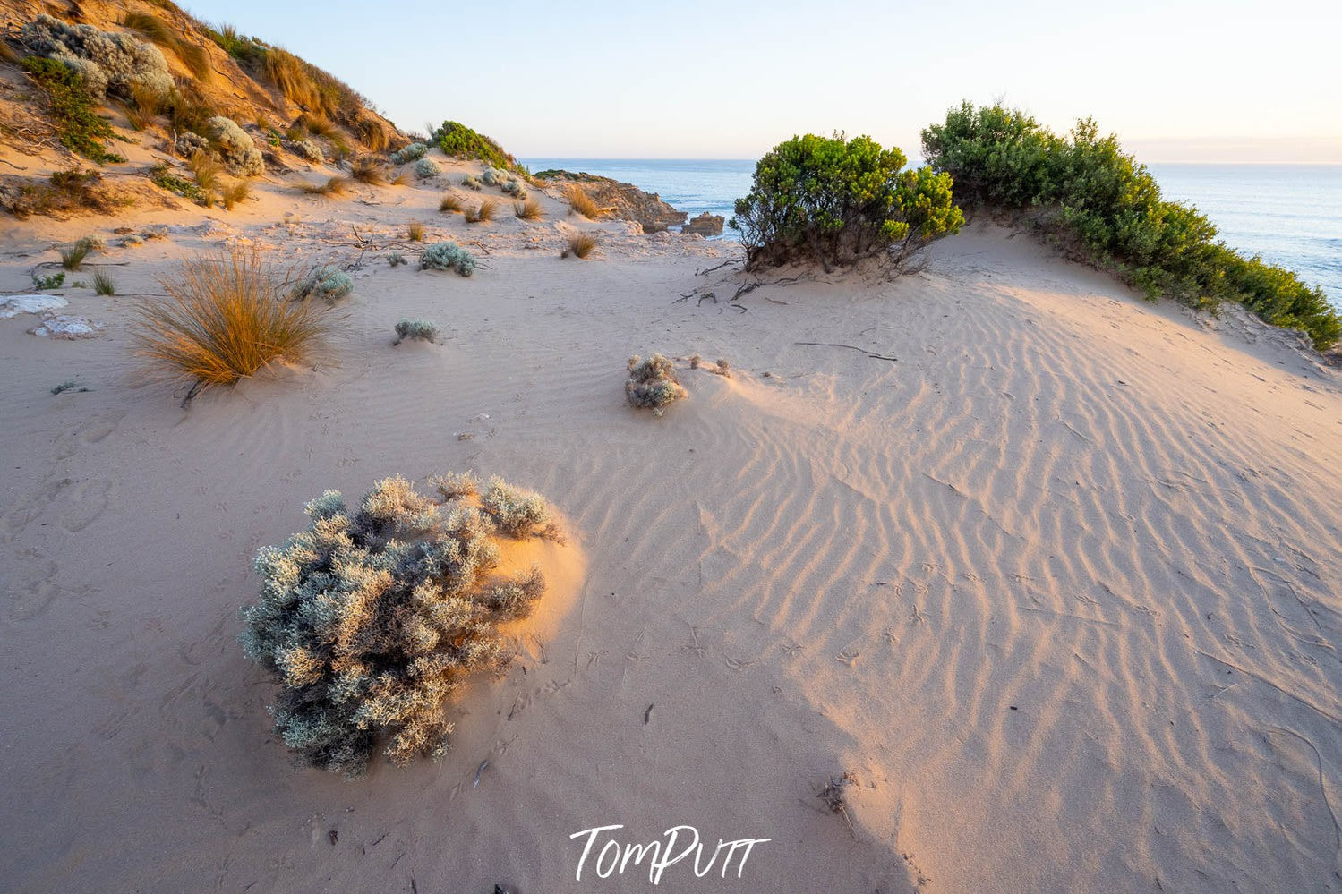 Coastal Dunescape, Sorrento