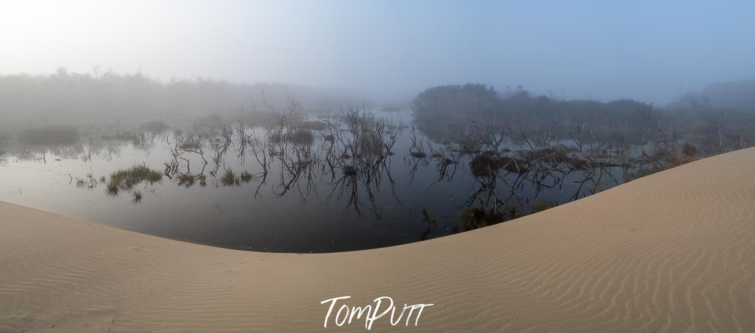 Coastal Swamp, Wilson's Promontory