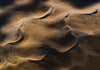 An artwork depicting alike a dense, shiny desert of chocolate-like sand forming the wavy shapes like a natural desert, Coming Together Artwork Print