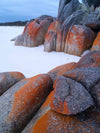 Cosy Corner Lichen-Covered Rocks, Bay of Fires
