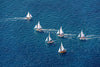 A landscape view of Couta boat racing in the dark blue ocean, Couta Boats , Sorrento - Mornington Peninsula Victoria 