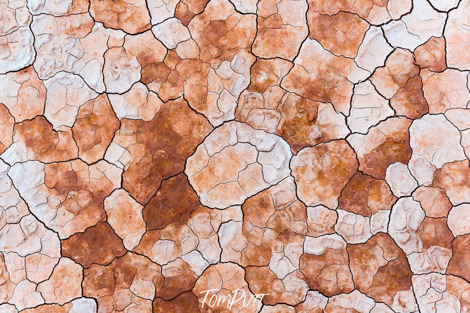 A beautiful cracked texture on a stone-like surface with brown, powder, and mustard colors, Cracked Claypan, Red Centre - Northern Territory