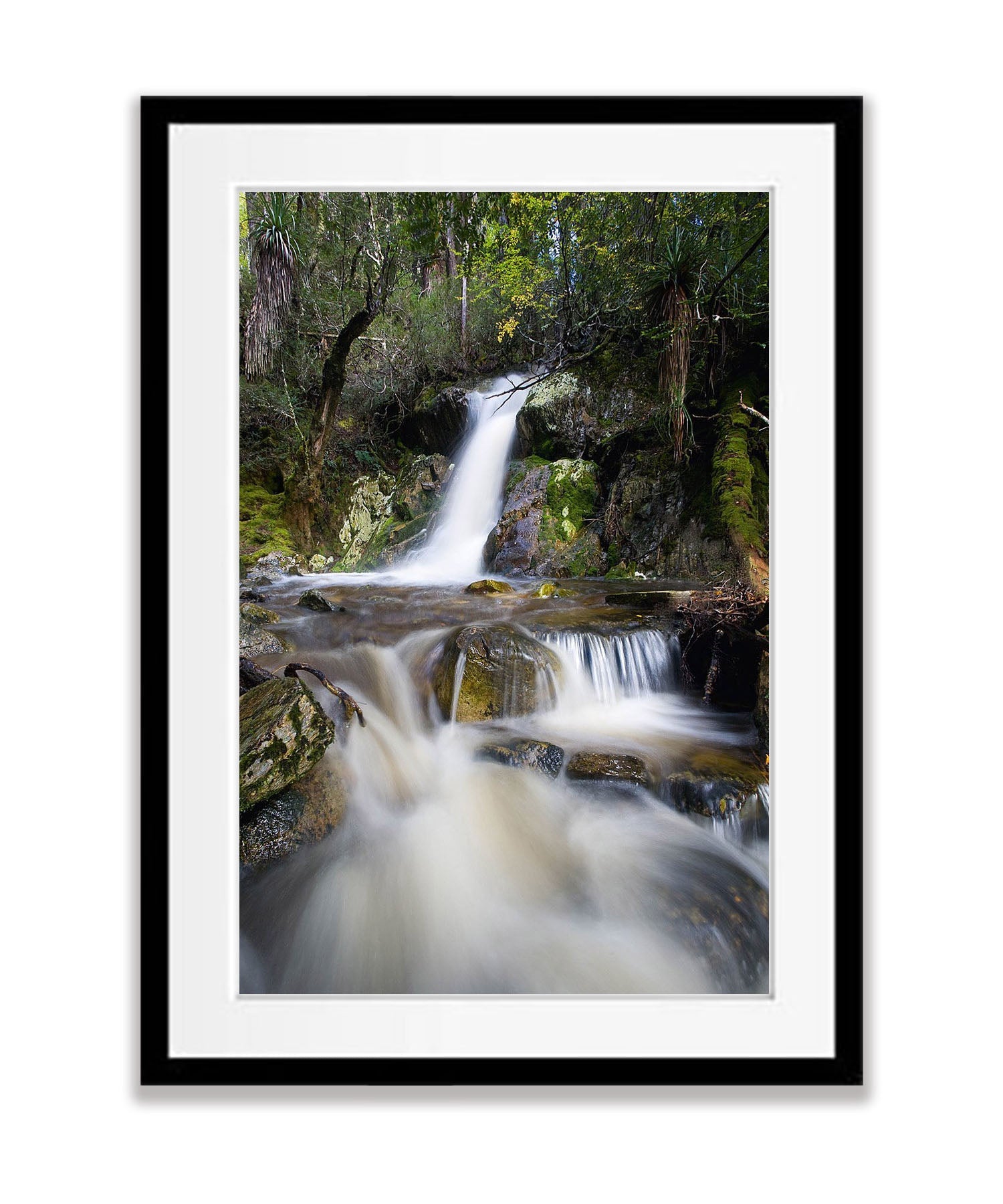 Crater Falls, Overland Track, Cradle Mountain, Tasmania