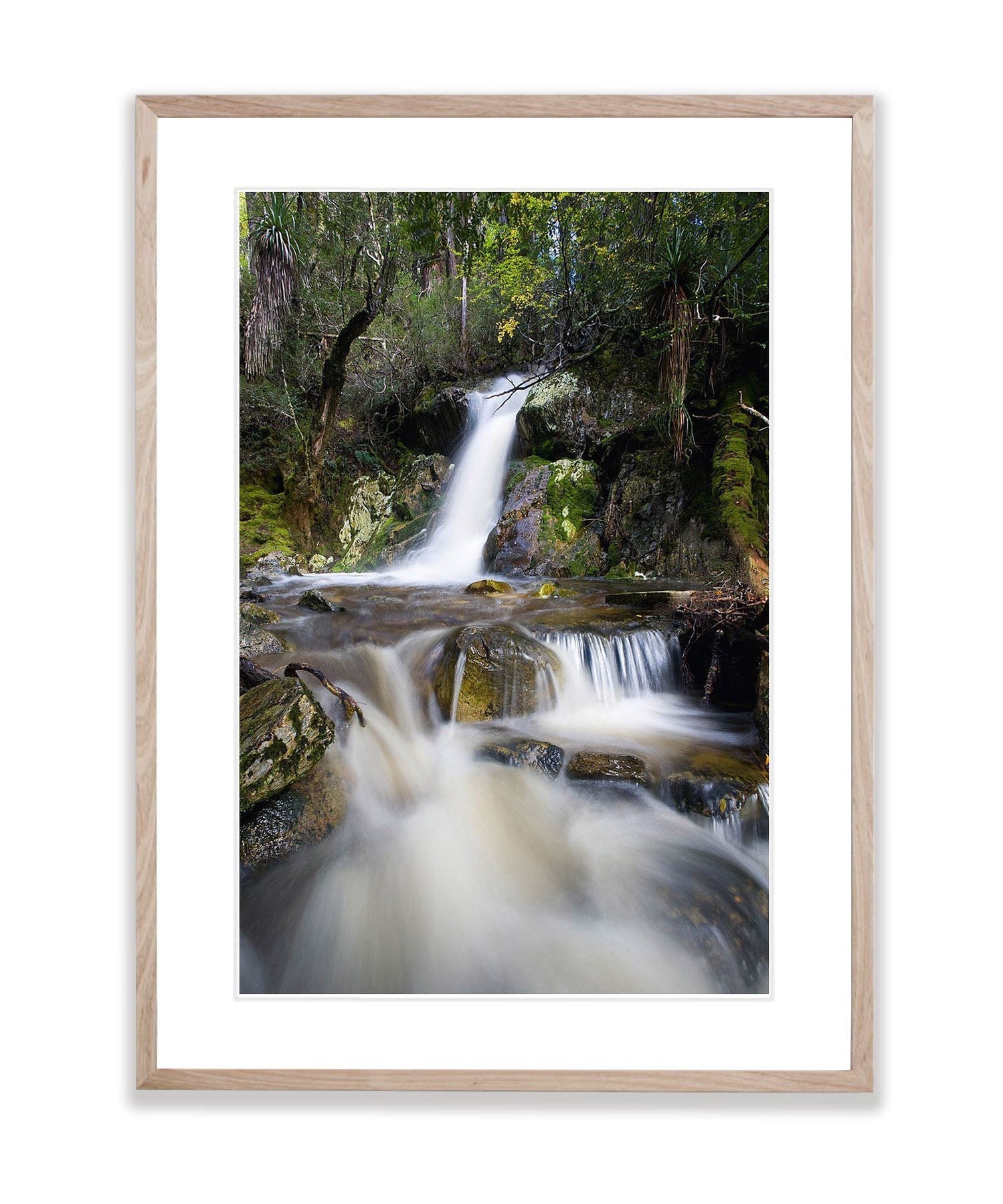 Crater Falls, Overland Track, Cradle Mountain, Tasmania