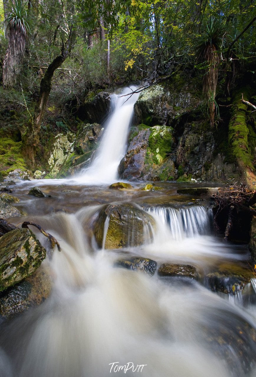 A beautiful waterfall coming from a height, and a forest area in the surroundings, Cradle Mountain #20, Tasmania