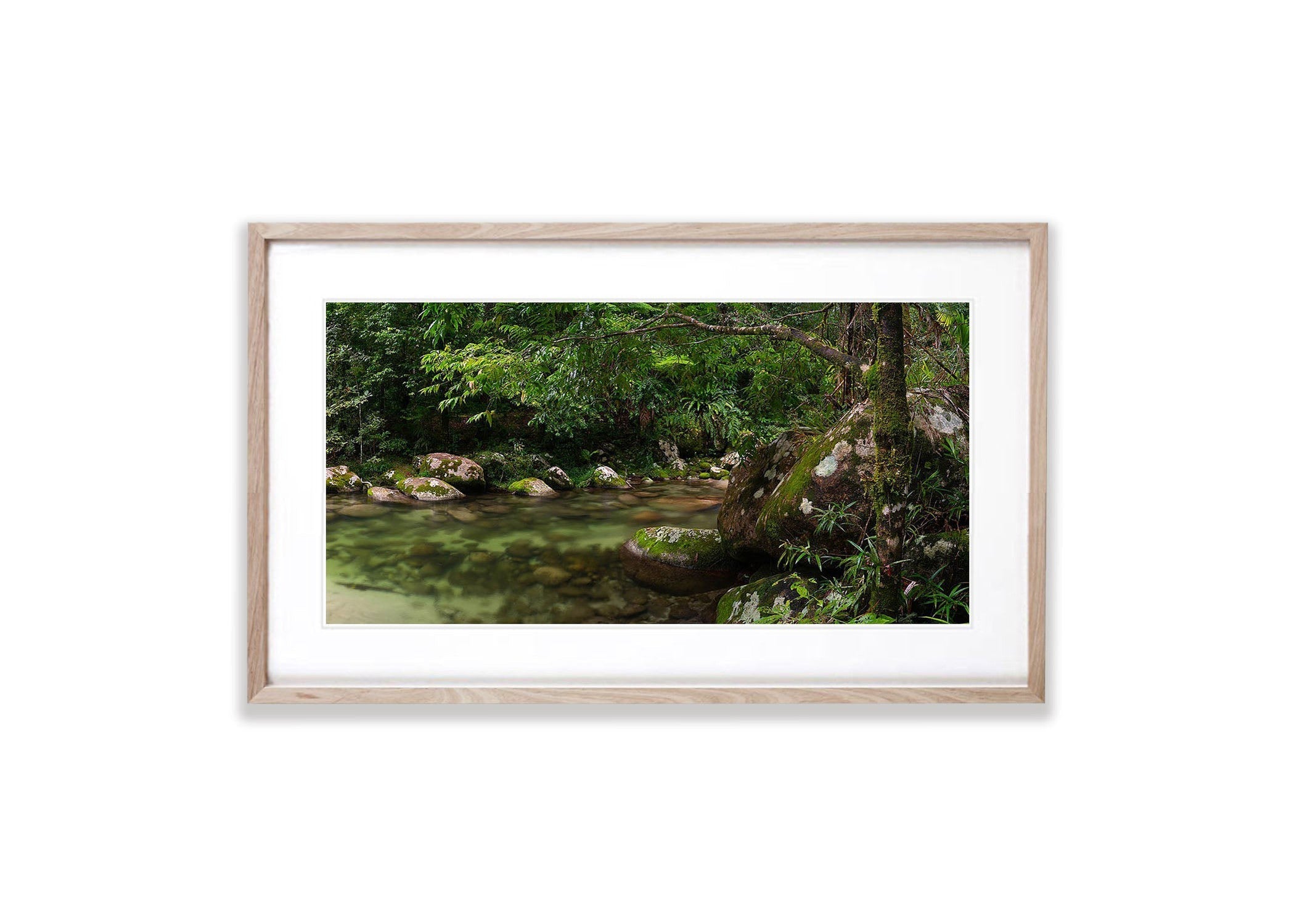 Crystal Clear Water, Rainforest Stream, Far North Queensland