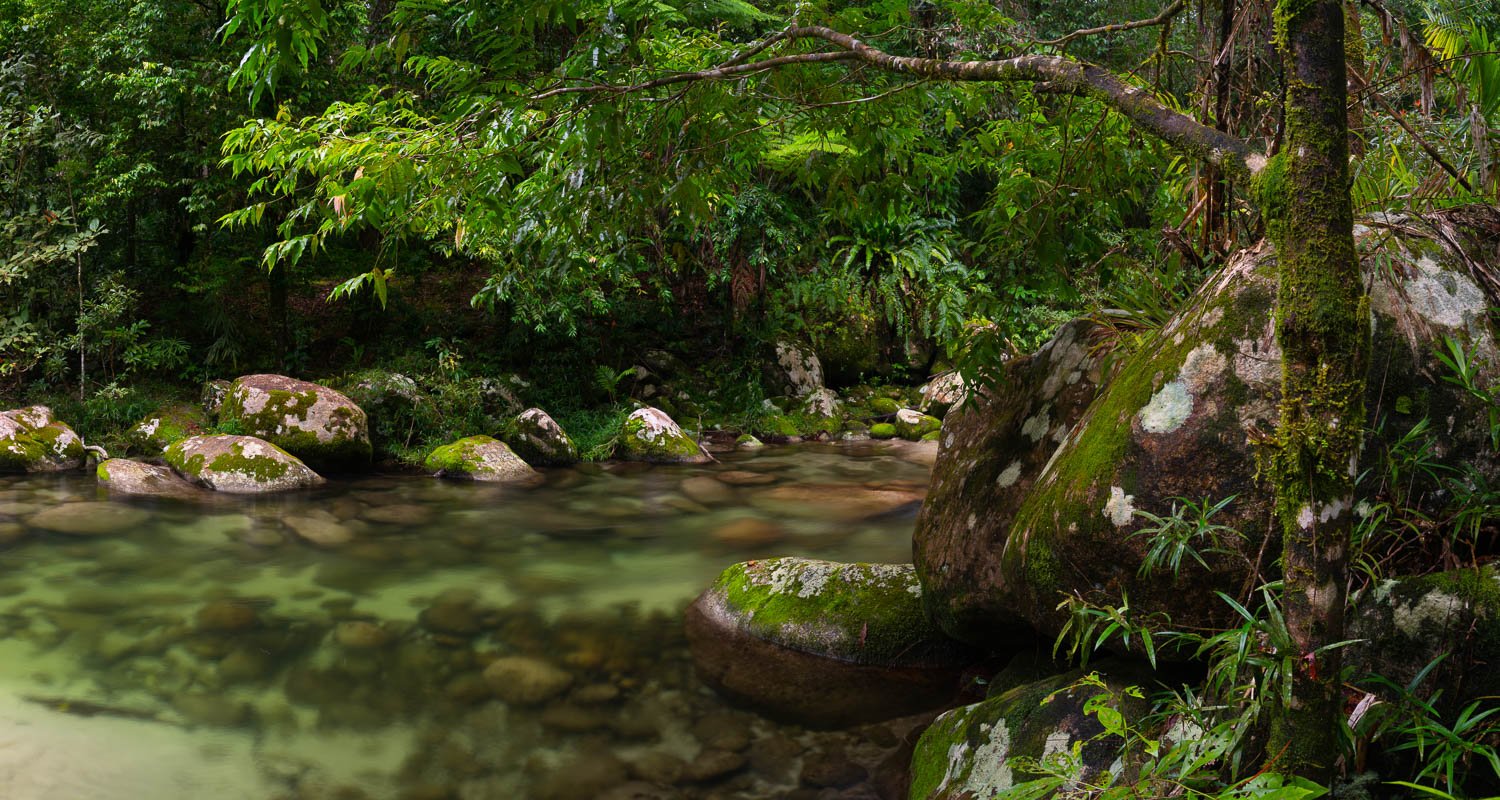 A small lake in a forest with lush green surroundings, and some rounded stones on the corners, Crystal Clear Water, Rainforest Stream, Far North Queensland
