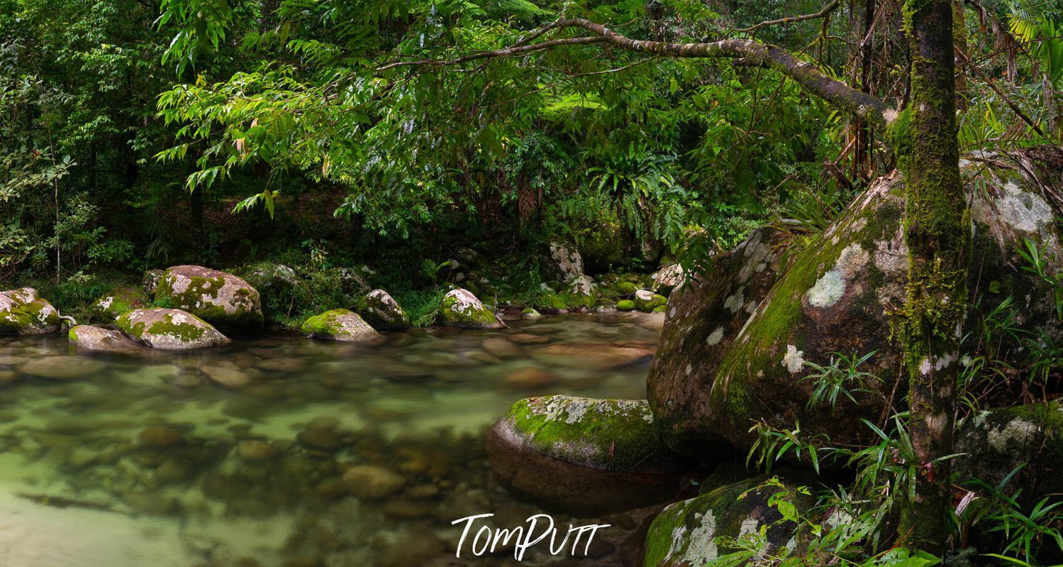 A small lake in a forest with lush green surroundings, and some rounded stones on the corners, Crystal Clear Water, Rainforest Stream, Far North Queensland