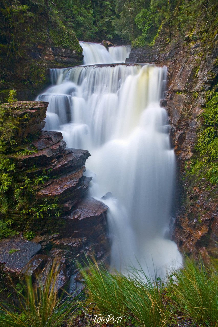 A thick waterfall from a mountain wall with a lot of greenery, Cradle Mountain #13, Tasmania