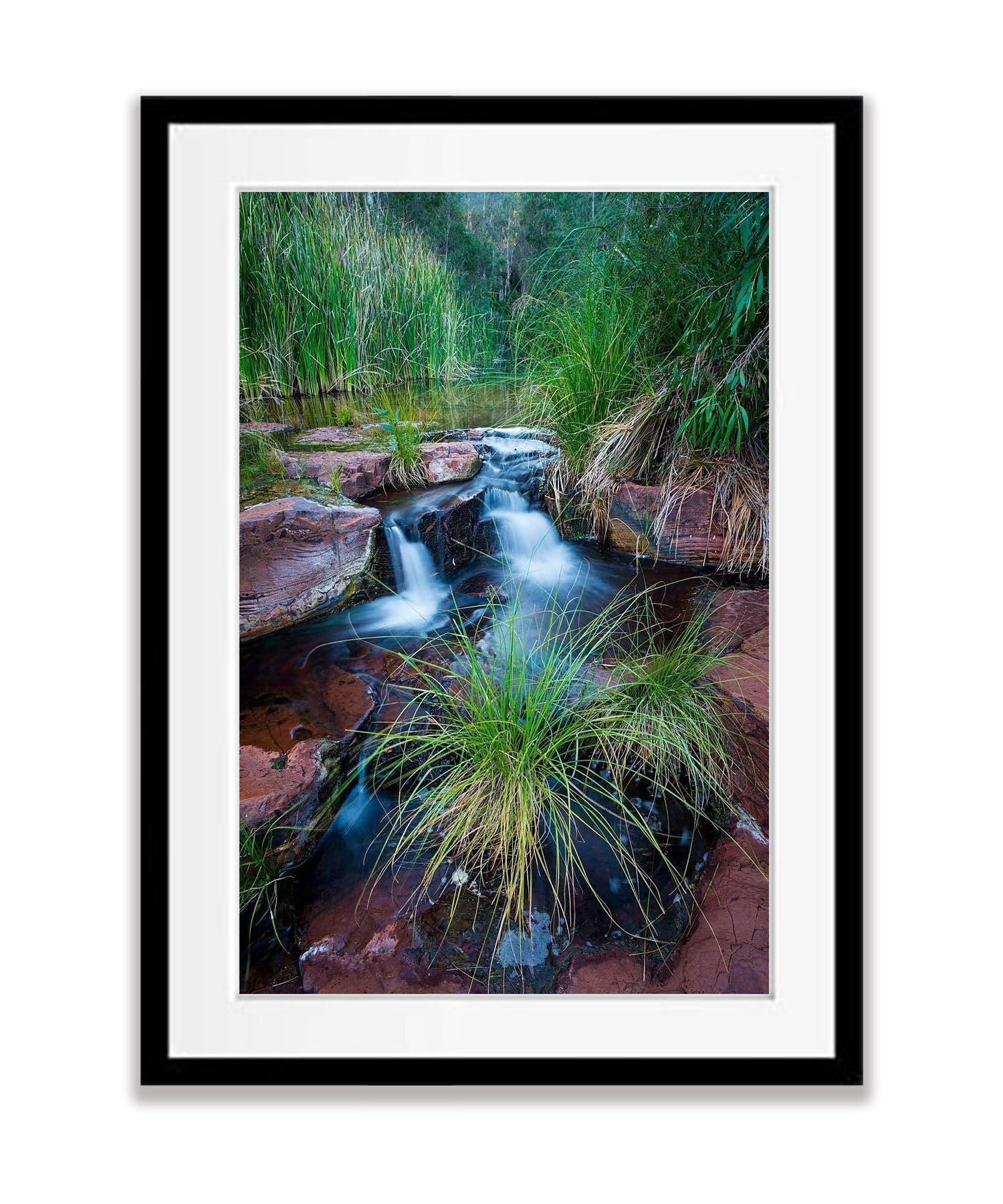 Dales Gorge Creek - Karijini, The Pilbara