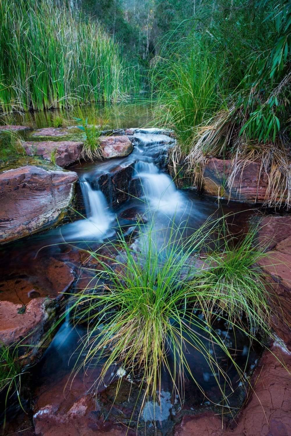 A sequence of large mountain rocks on the land with a steady flow of clean water over them, long bushes and grass in the scene, Dales Gorge Creek - Karijini, The Pilbara