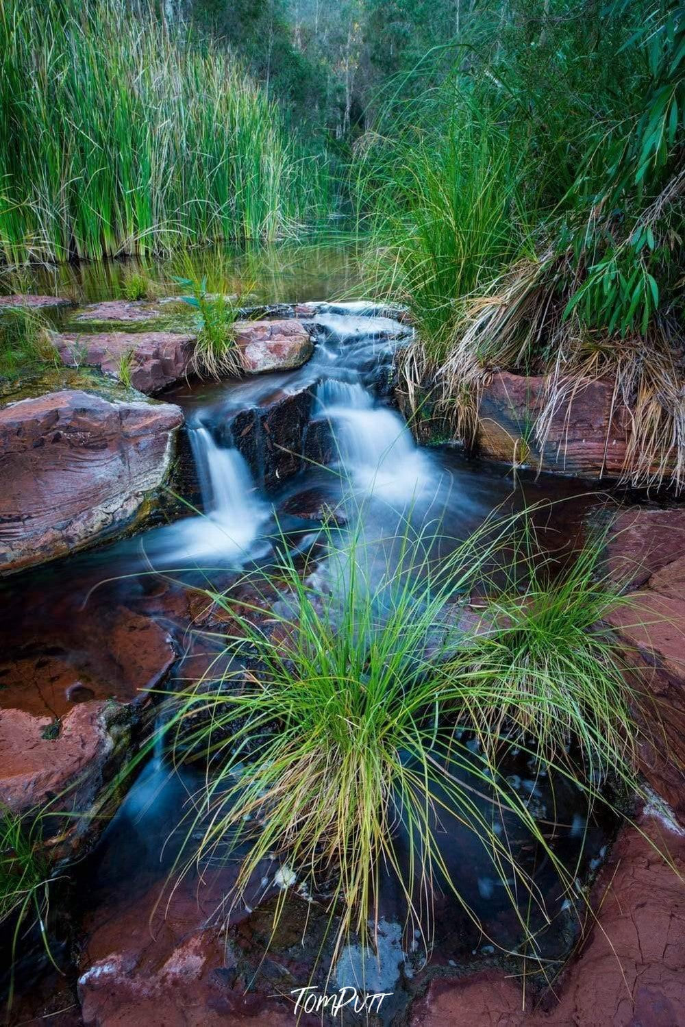 A sequence of large mountain rocks on the land with a steady flow of clean water over them, long bushes and grass in the scene, Dales Gorge Creek - Karijini, The Pilbara