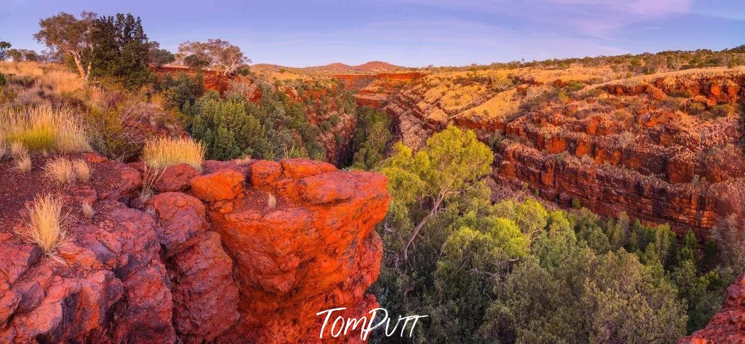 Fresh plants and trees between the two walls of giant mountains having red and orangish color on them, and an effect of the sunlight, Dales Gorge - Karijini, The Pilbara